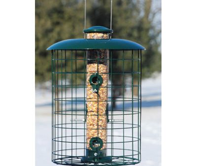 Woodlink Caged Squirrel Resistant Tube Bird Feeder For Cheap