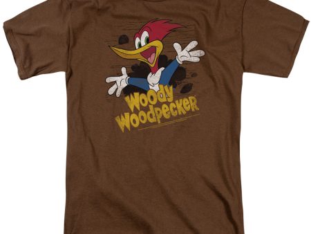 WOODY WOODPECKER : THROUGH THE TREE S\S ADULT 100% COTTON 18\1 T-SHIRT Coffee XL on Sale