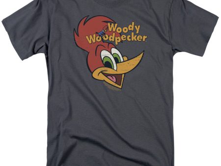 WOODY WOODPECKER : RETRO LOGO S\S ADULT 100% COTTON 18\1 T-SHIRT Charcoal 2X Online now